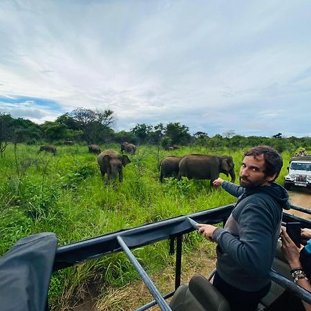Minneriya Jeep Safari Habarana Eksteriør bilde